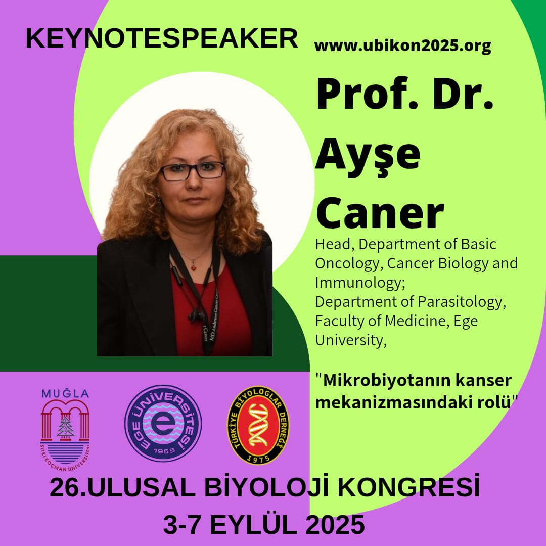 ayse-caner